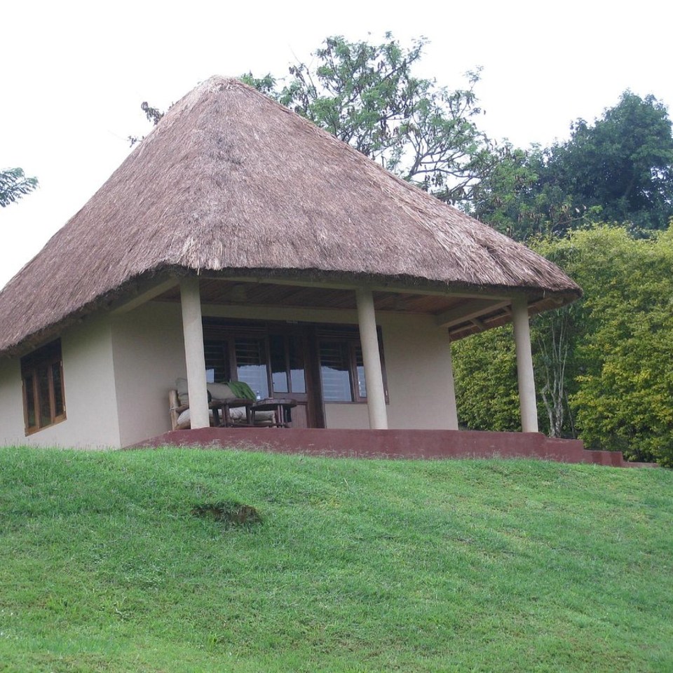 Chimpanzee Forest Lodge